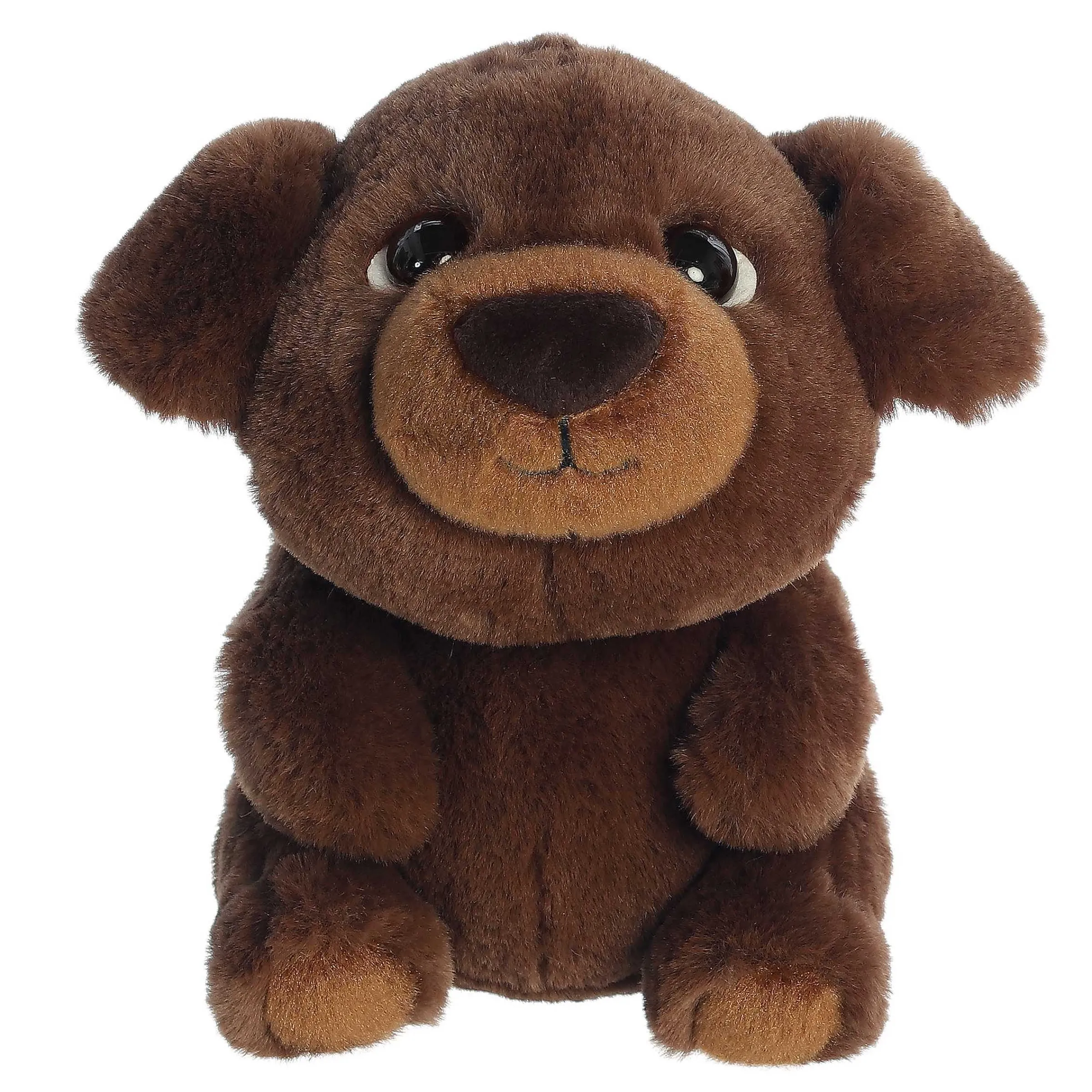New - Boop - 9" Chip Pets