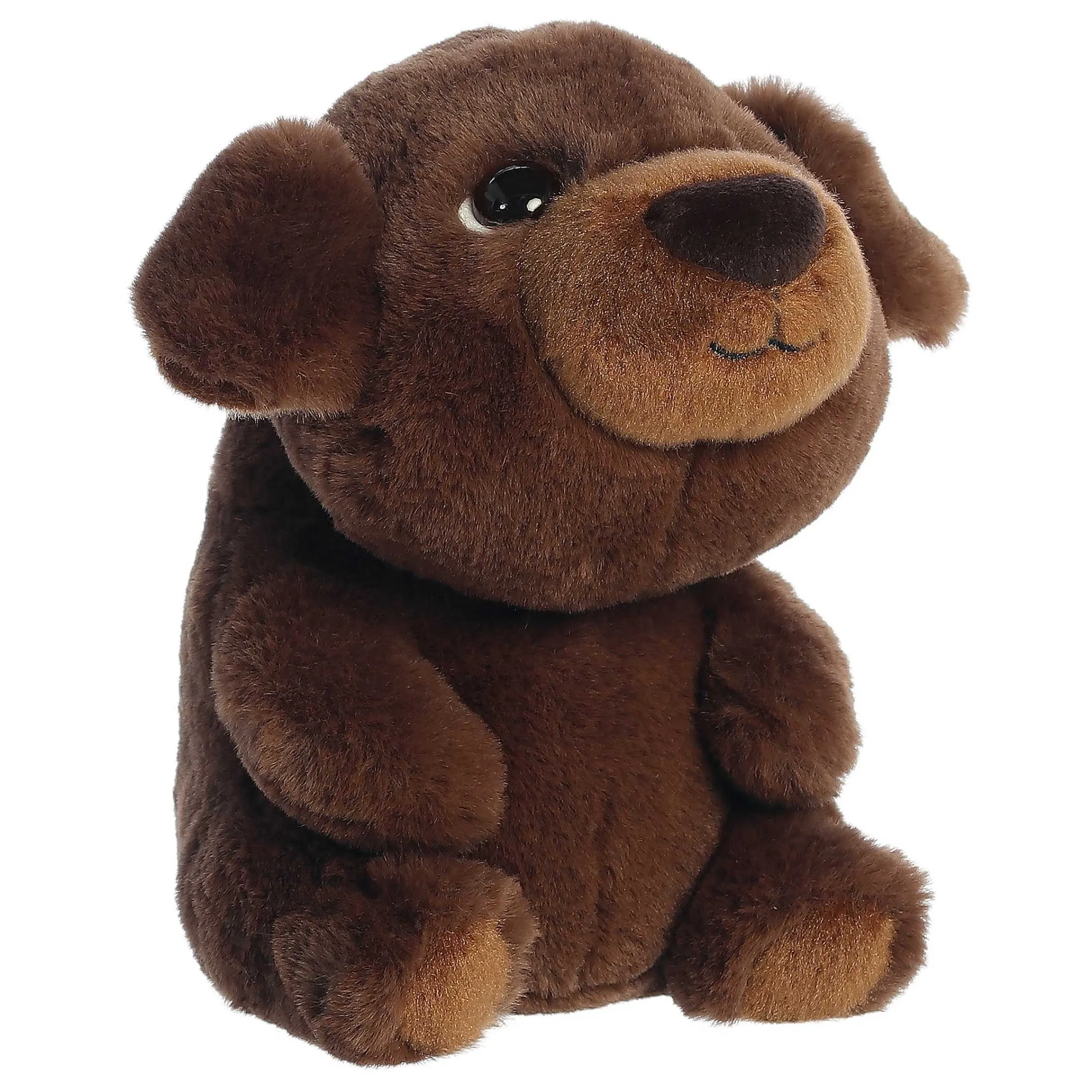 New - Boop - 9" Chip Pets