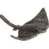 Hot - Destination Nation - 17" Stingray Aquatic