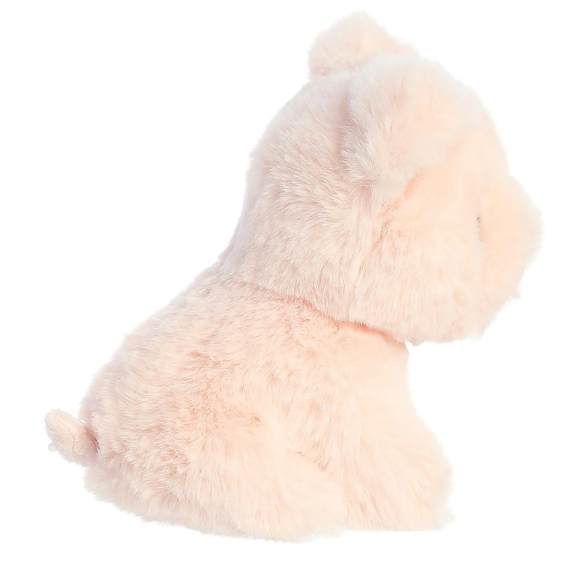 Clearance - Eco Nation - 5" Mini Pig Eco Nation