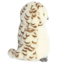 Best - Eco Nation - 9