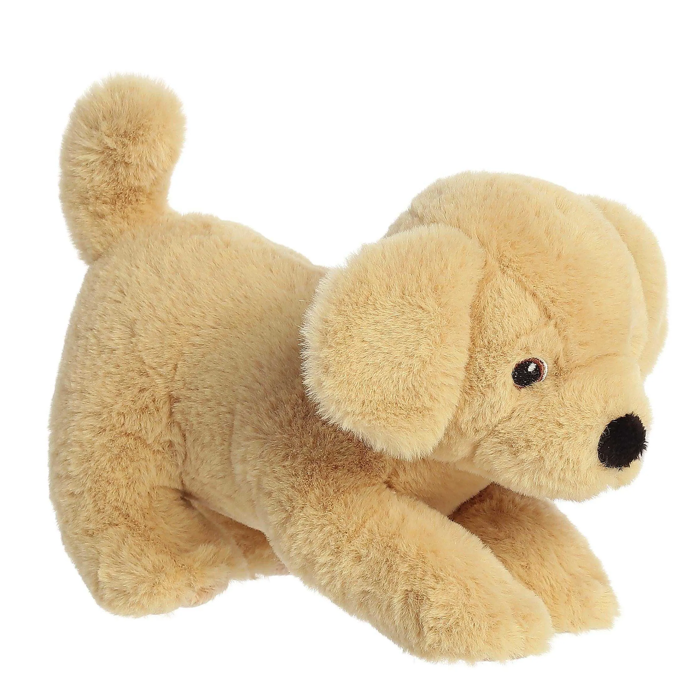 Outlet - Eco Nation - 8.5" Yellow Lab Eco Nation