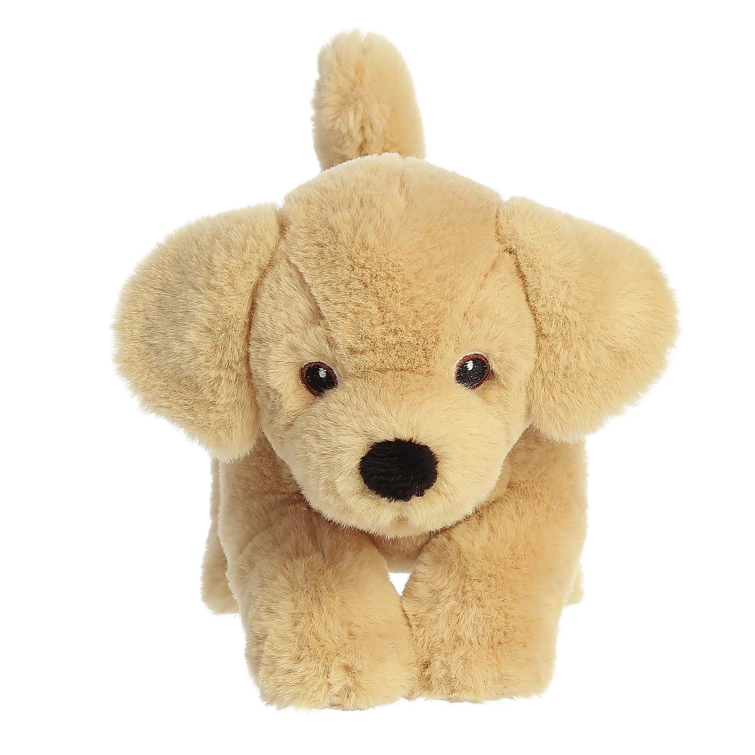 Outlet - Eco Nation - 8.5" Yellow Lab Eco Nation