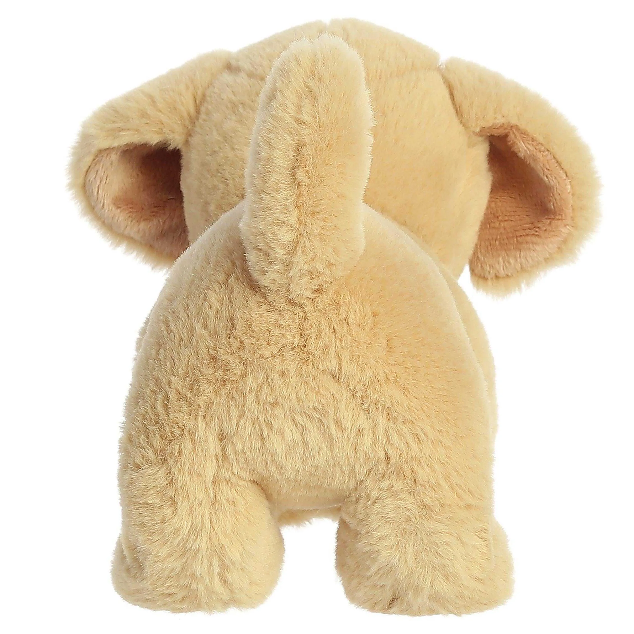 Outlet - Eco Nation - 8.5" Yellow Lab Eco Nation