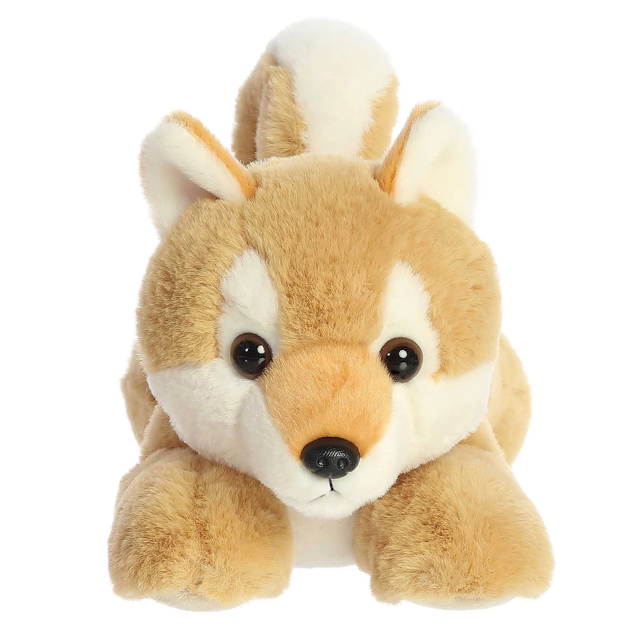 Online - Flopsie - 12" Shiba Inu New