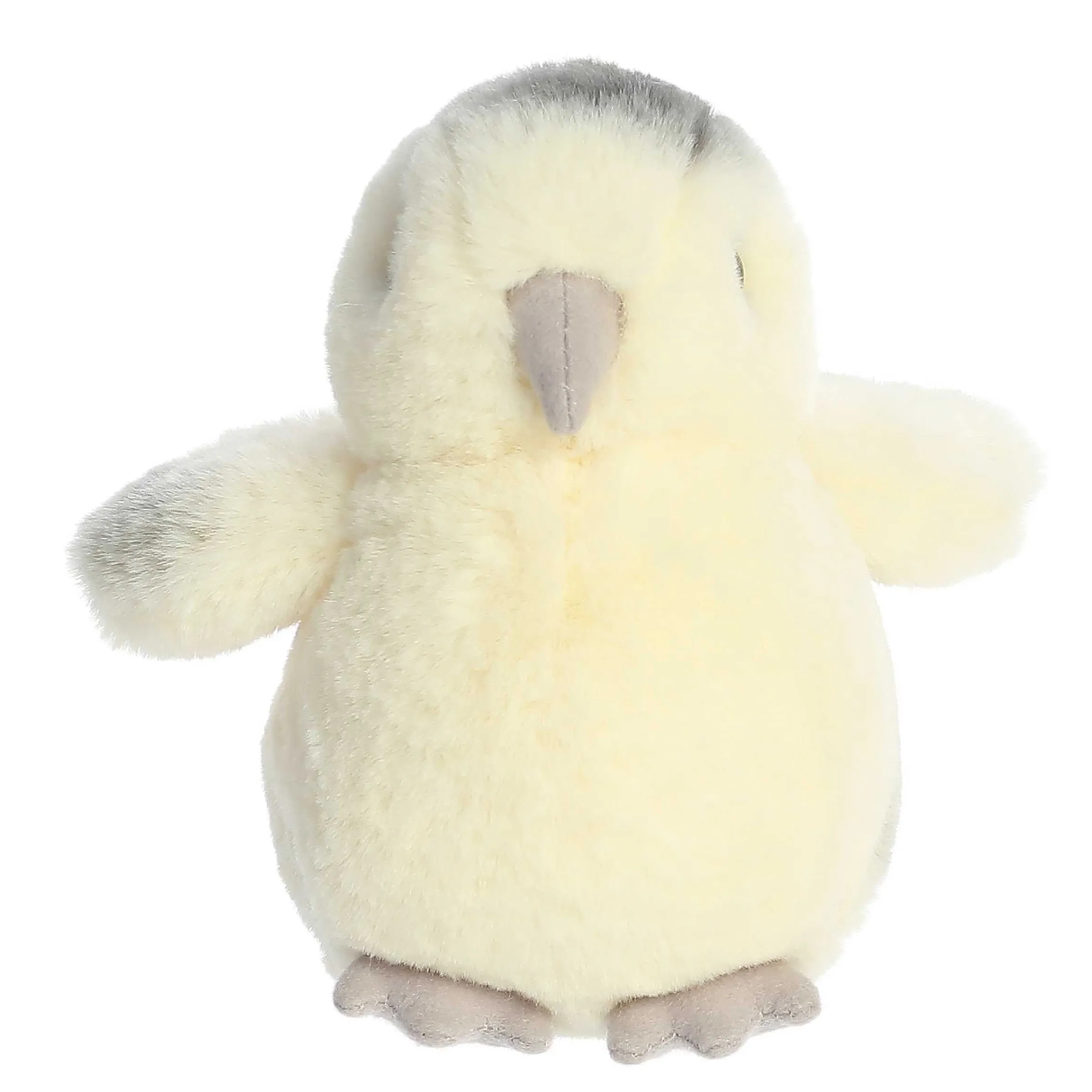 Sale - Mini Flopsie - 8" Ameraucana Chick New