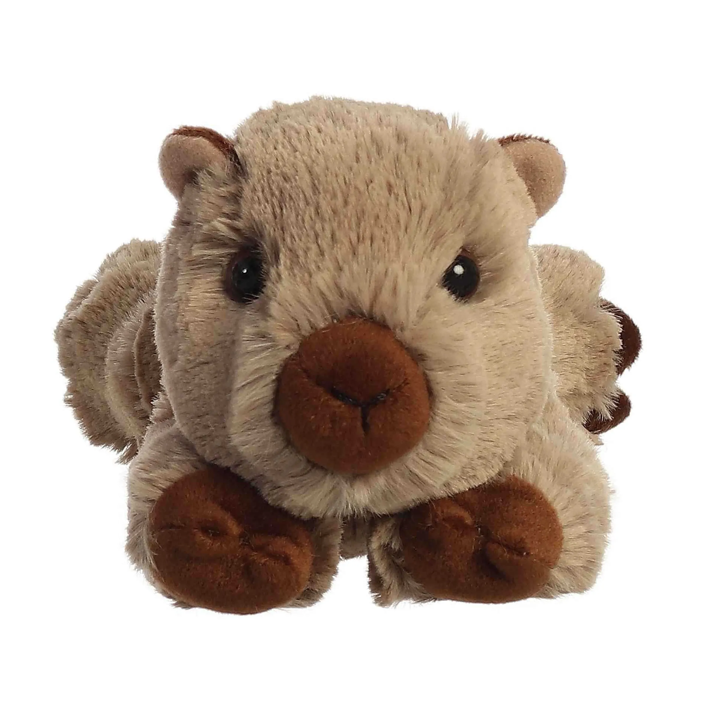 Outlet - Mini Flopsie - 8" Winnie Wombat Savannah