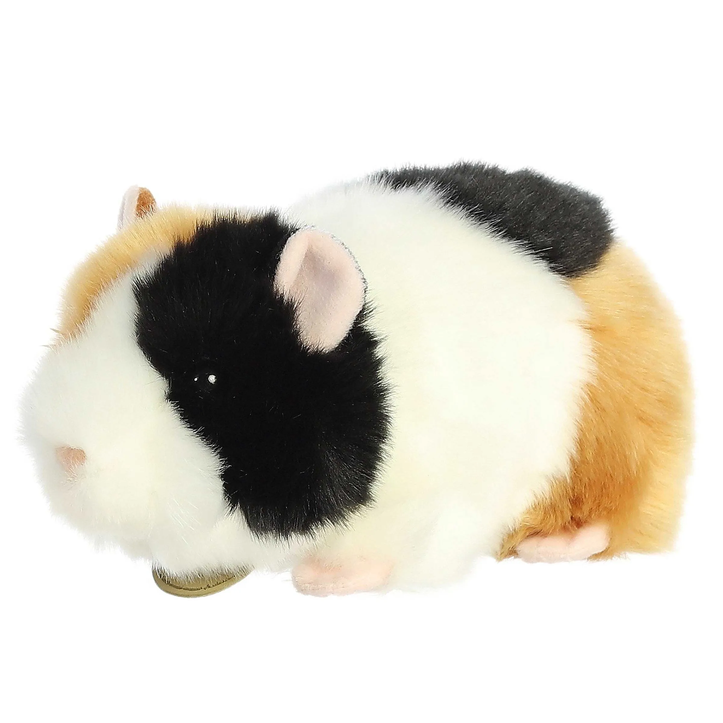 Clearance - Miyoni® - 7.5" American Guinea Pig Miyoni®