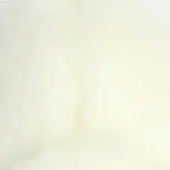 Clearance - Miyoni® - American White Rabbit Miyoni®