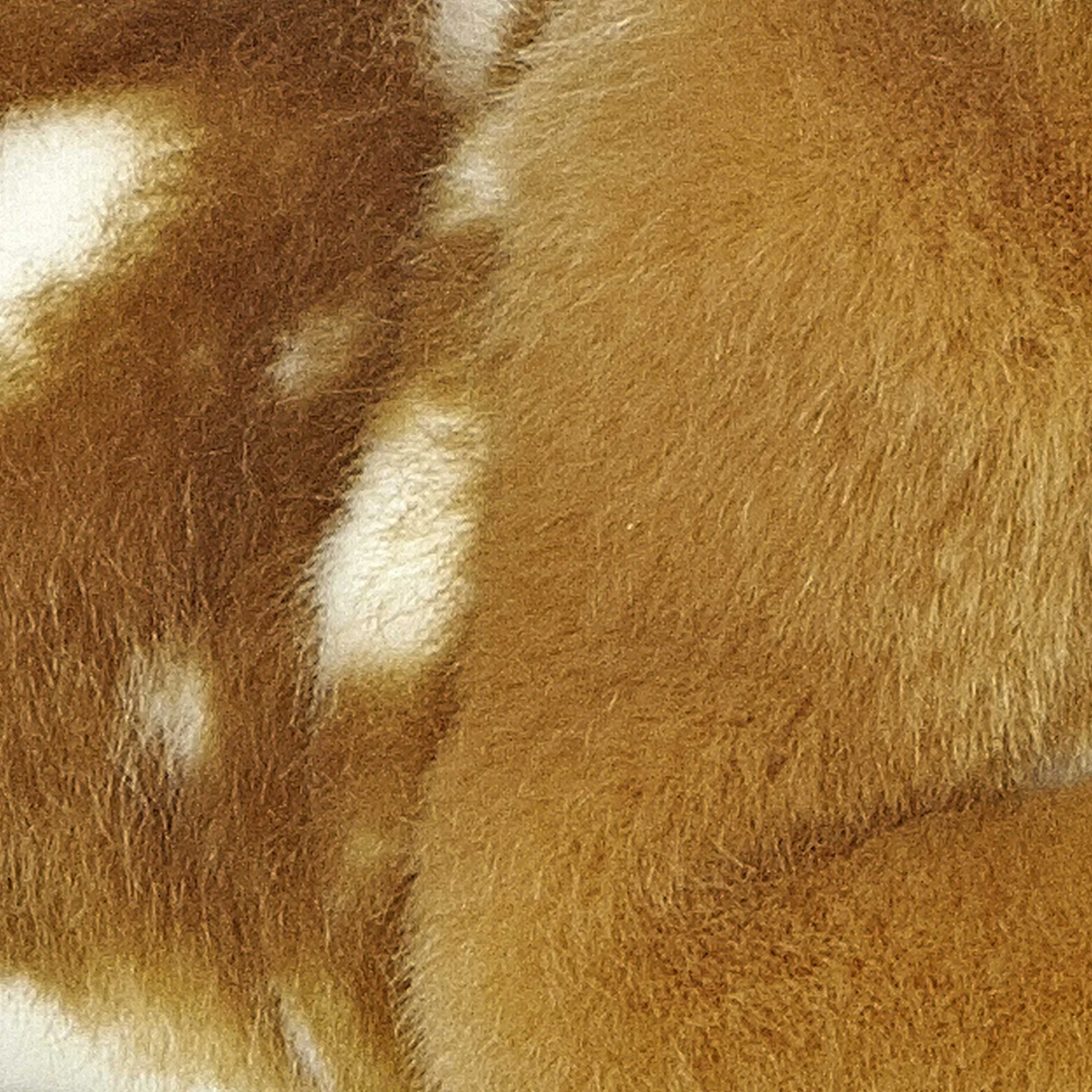 Clearance - Miyoni® - Fawn Miyoni®