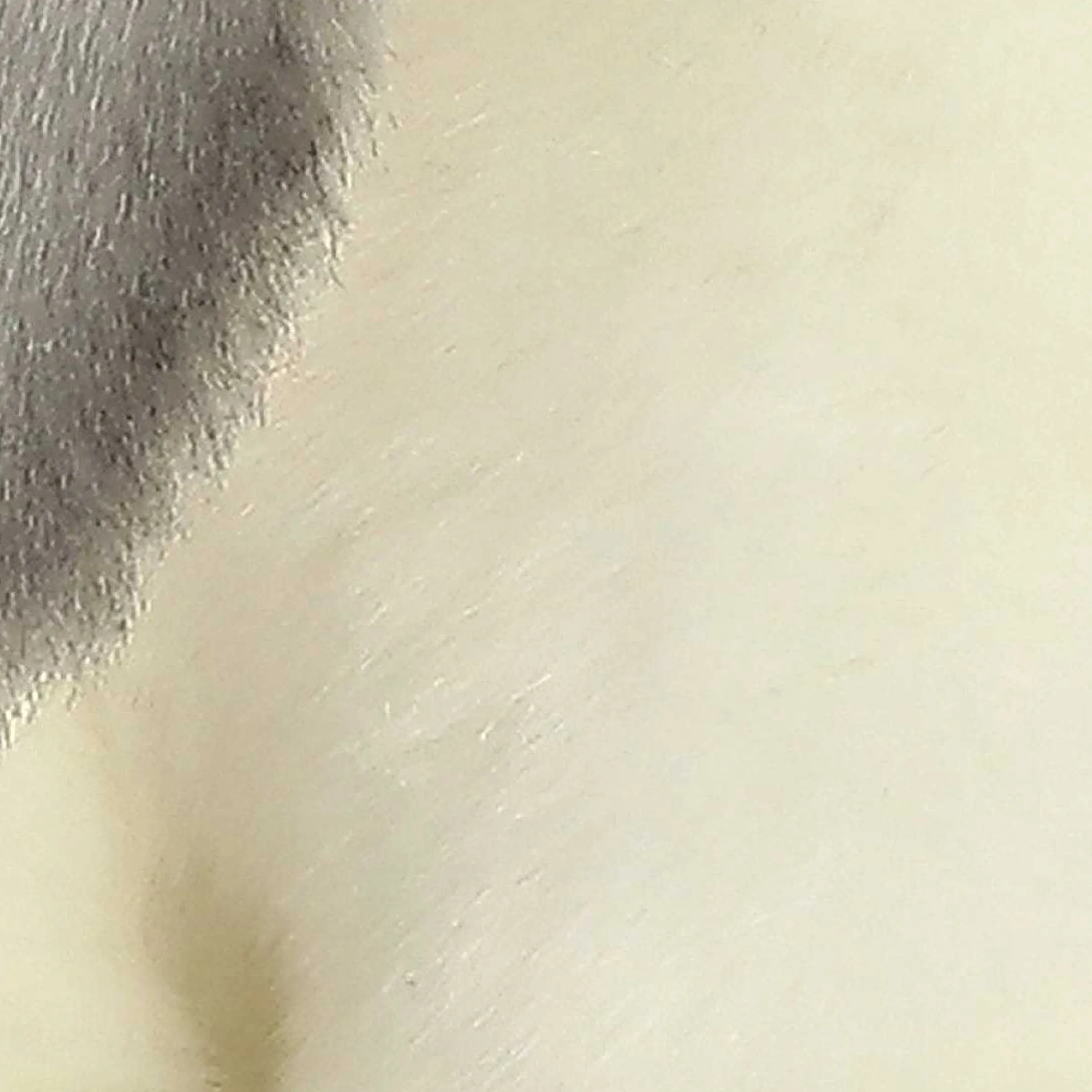 Clearance - Miyoni® - Lop Eared Rabbit Miyoni®