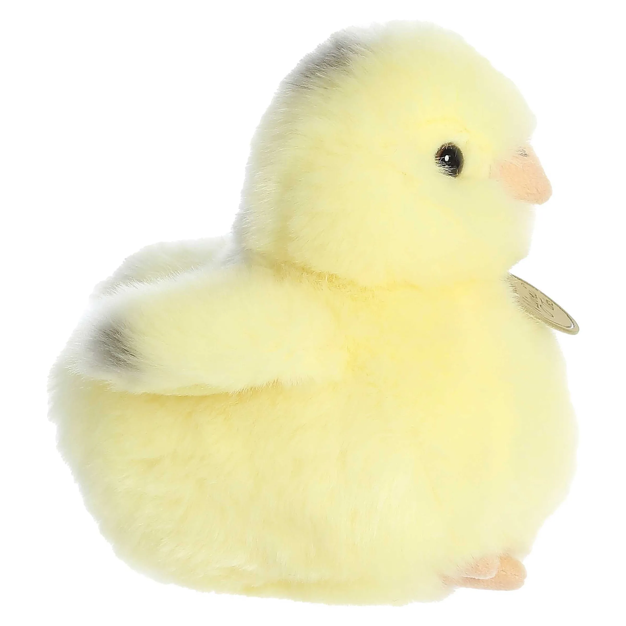 Outlet - Miyoni® Tots - 5.5" Ameraucana Chick Farm
