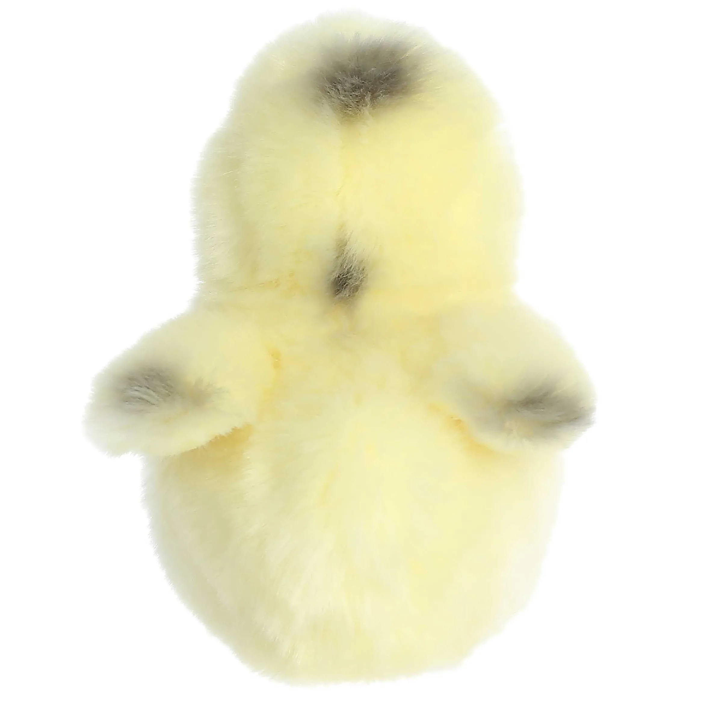 Outlet - Miyoni® Tots - 5.5" Ameraucana Chick Farm