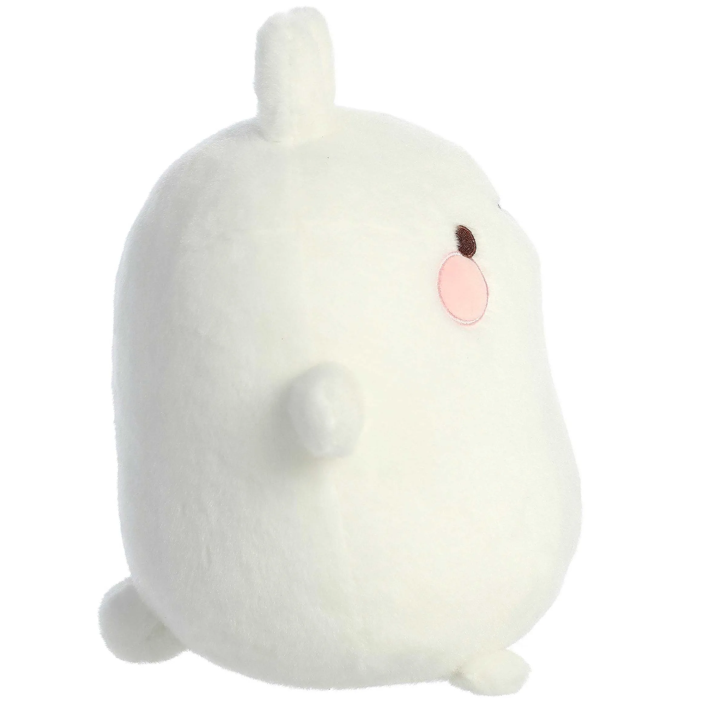 Best Aurora® - Molang Molang