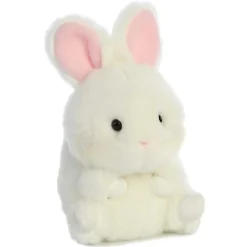 Clearance - Rolly Pet - 5