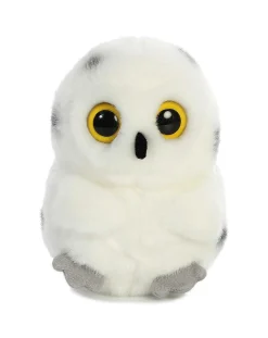 Clearance - Rolly Pet - 5