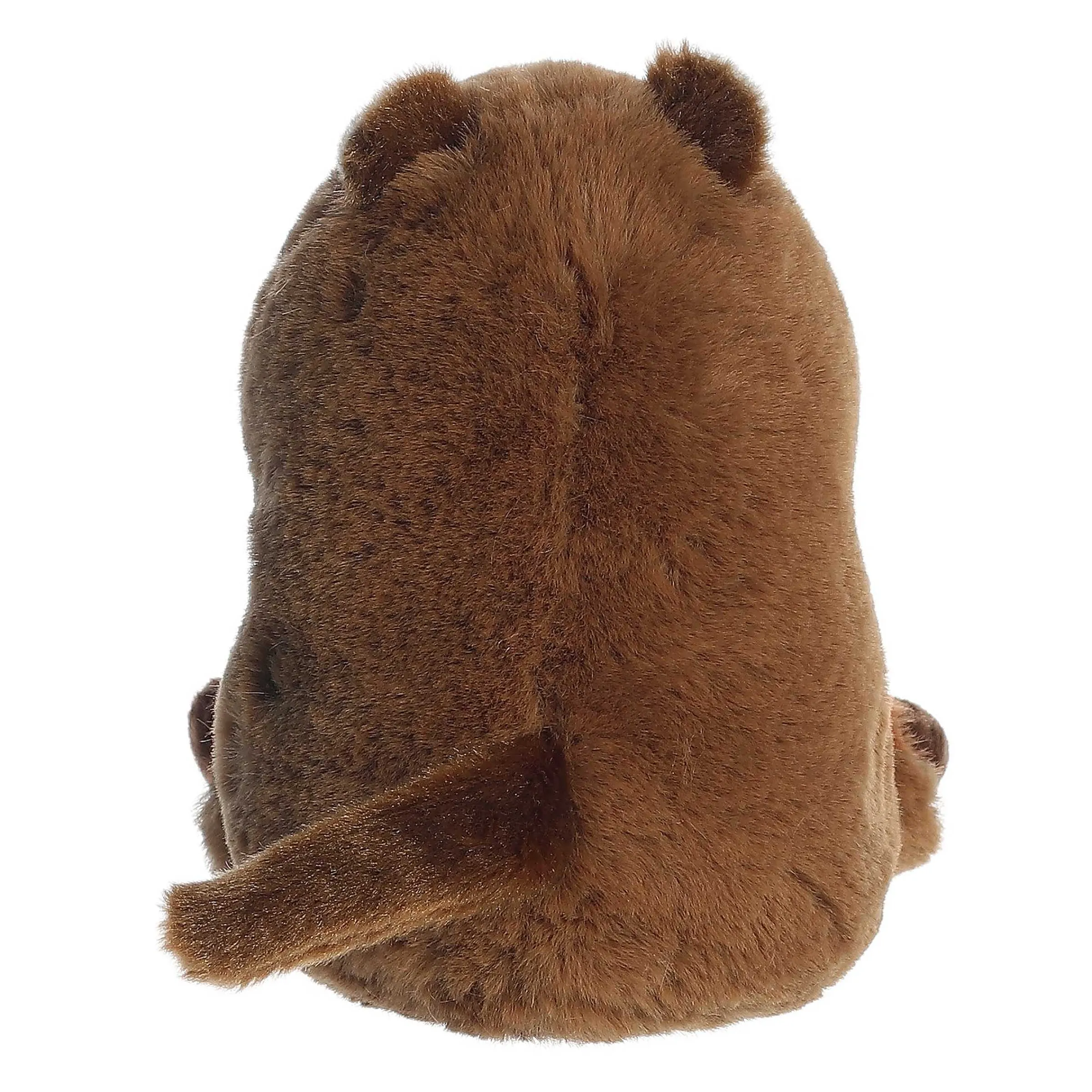 New - Rolly Pet - 5" Quinn Quokka New