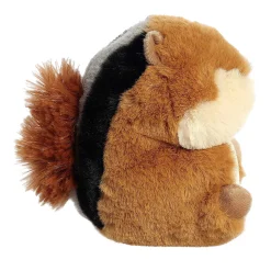 Best - Rolly Pet - 5