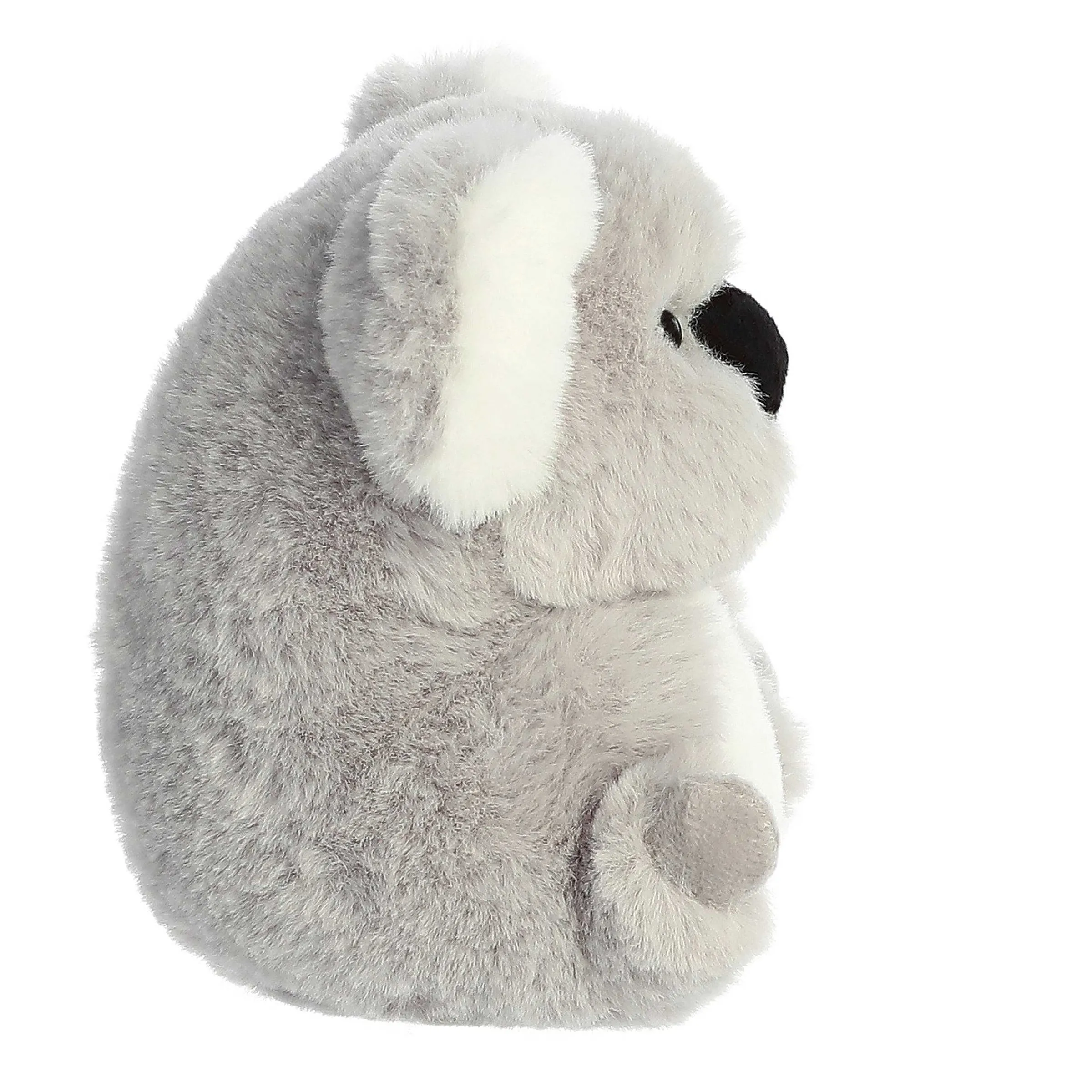 Hot - Rolly Pet - 5" Wilbur Koala Rolly Pet