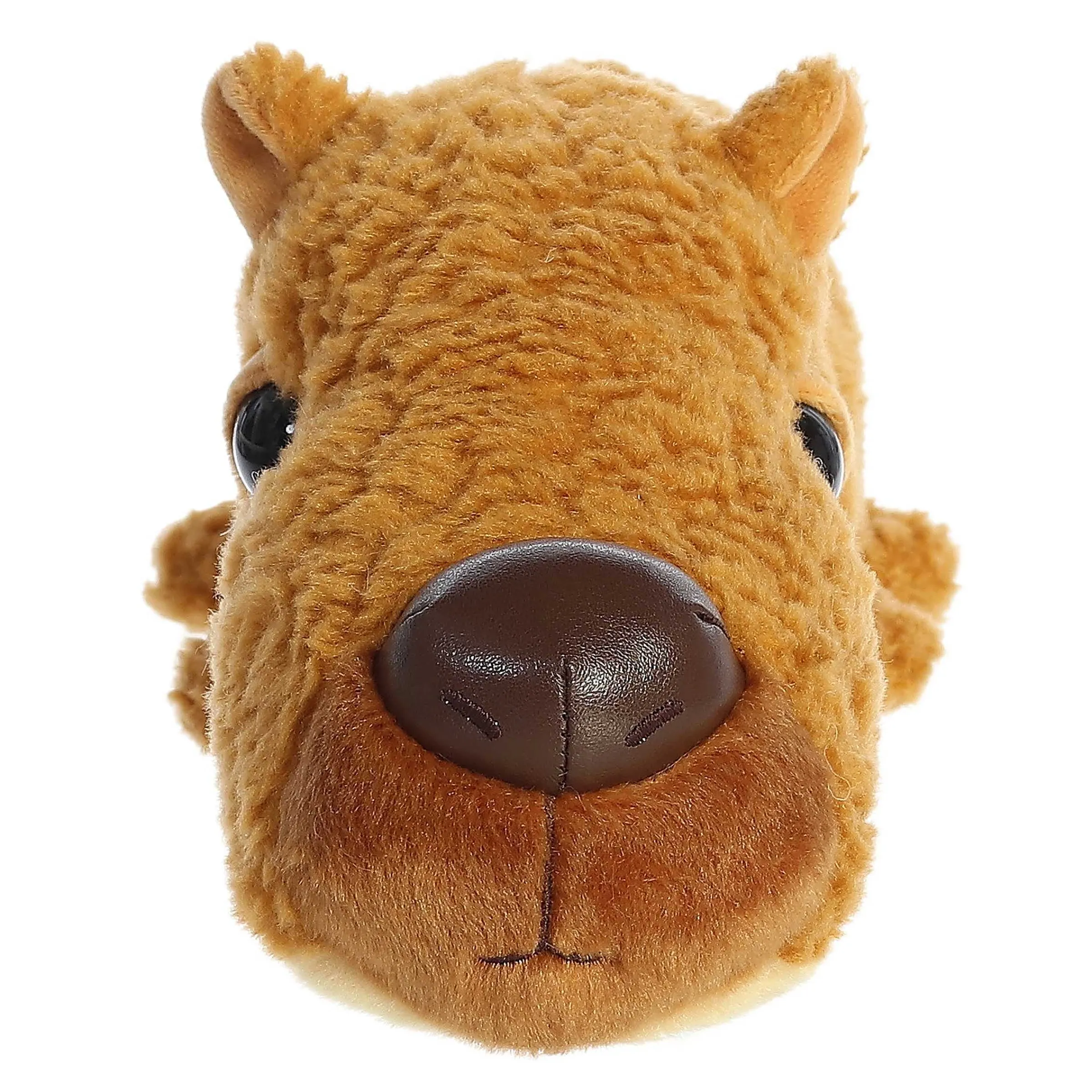 Fashion - Schnozzles - 11" Cameron Capybara New