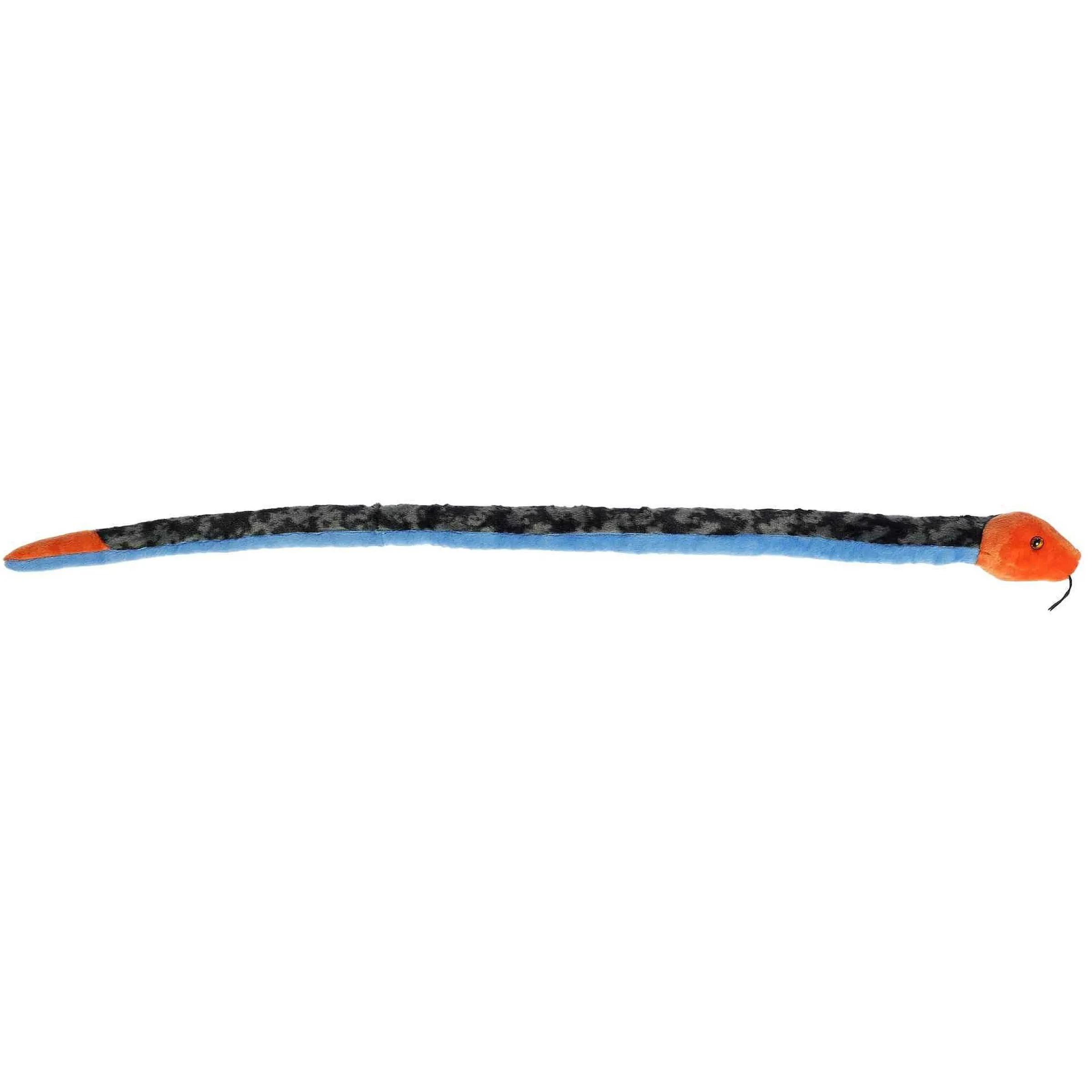 Sale - Snake - 50" Blue Malayan Coral Snake Pets