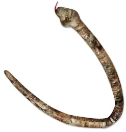 Clearance - Snake - 50" Gopher Snake Pets