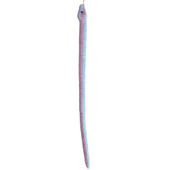 Sale - Snake - Kusheez - 51
