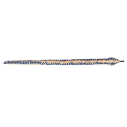 New - Snake - Kusheez - 52