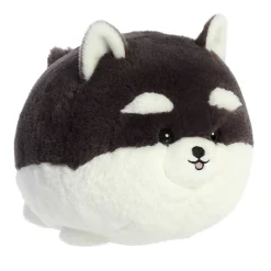 Sale - Teddy Pets - 10
