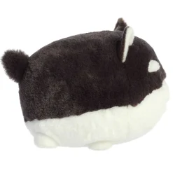 Sale - Teddy Pets - 10
