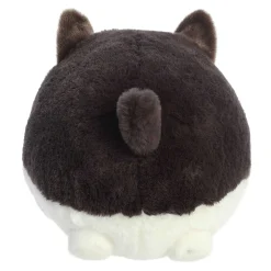 Sale - Teddy Pets - 10